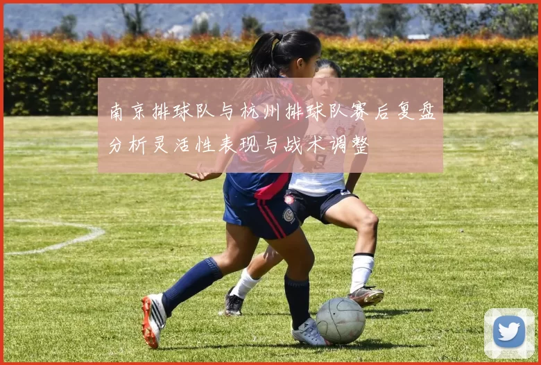 南京排球队与杭州排球队赛后复盘分析灵活性表现与战术调整