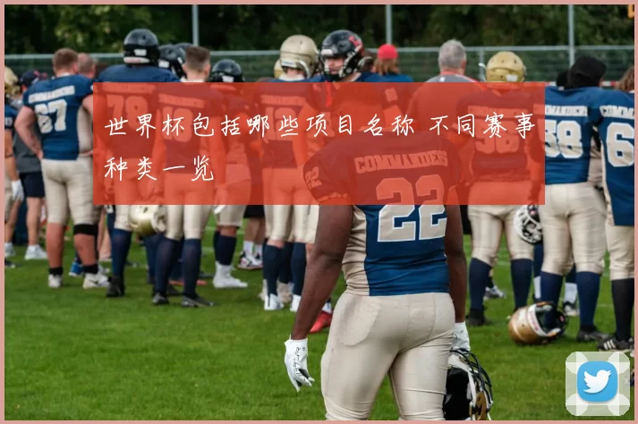 世界杯包括哪些项目名称 不同赛事种类一览