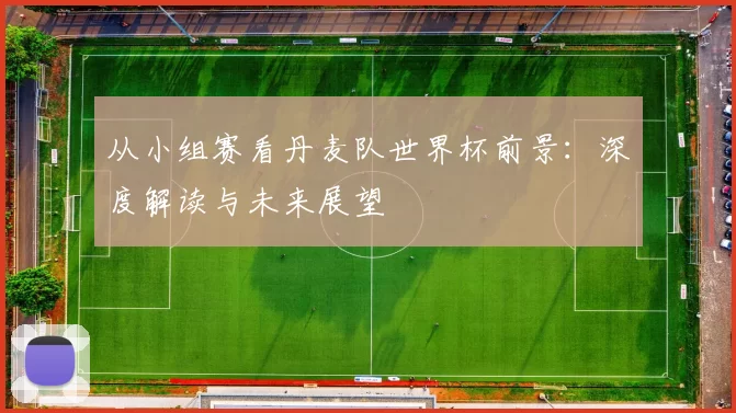 从小组赛看丹麦队世界杯前景:深度解读与未来展望