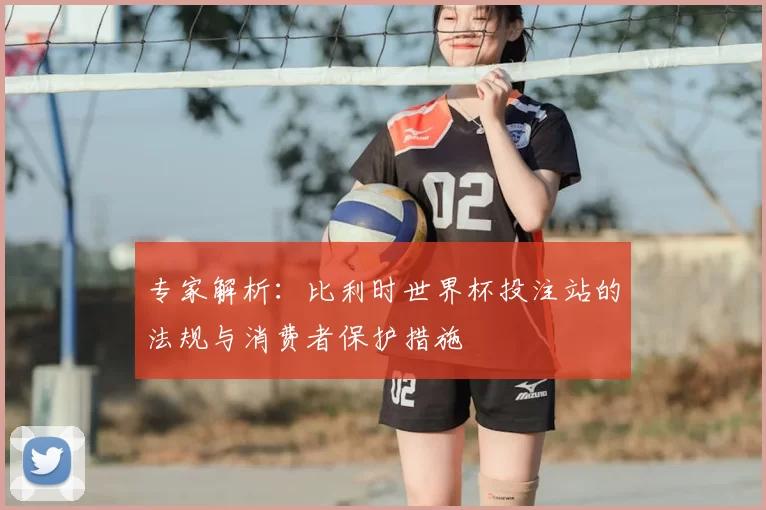 专家解析：比利时世界杯投注站的法规与消费者保护措施