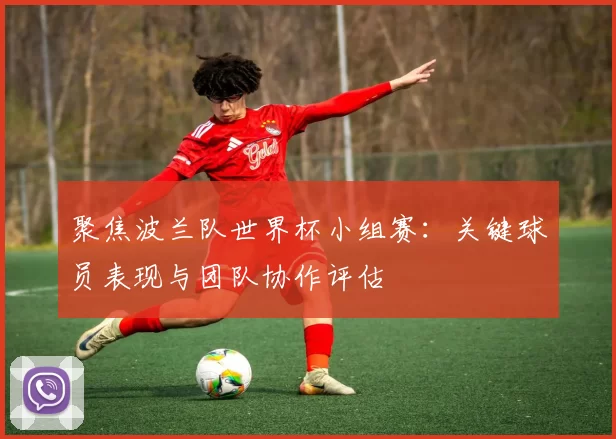 聚焦波兰队世界杯小组赛：关键球员表现与团队协作评估