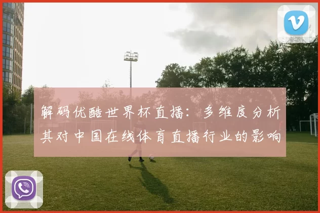 解码优酷世界杯直播:多维度分析其对中国在线体育直播行业的影响