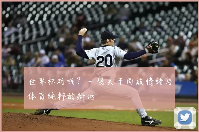 世界杯对吗?一场关于民族情绪与体育纯粹的辩论