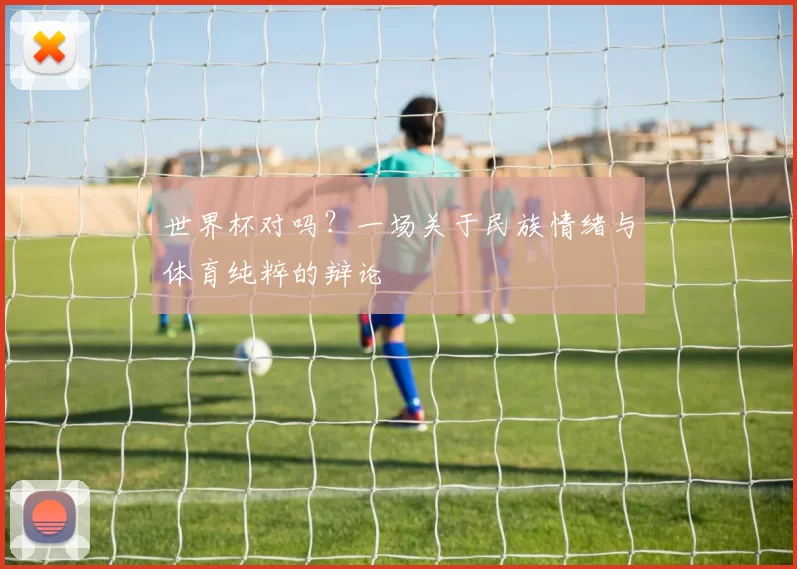 世界杯对吗?一场关于民族情绪与体育纯粹的辩论