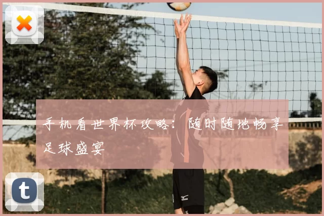 手机看世界杯攻略:随时随地畅享足球盛宴